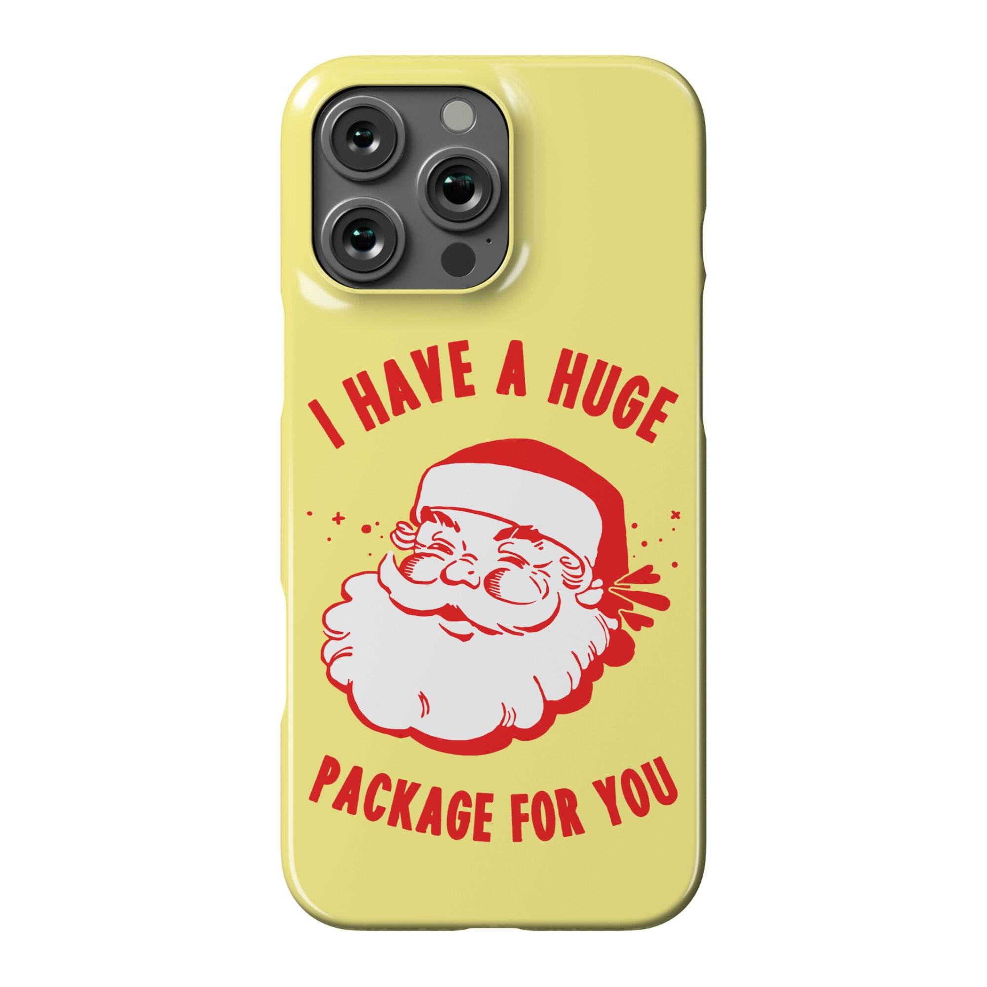 I Have A Huge Package For You Santa Phone Case