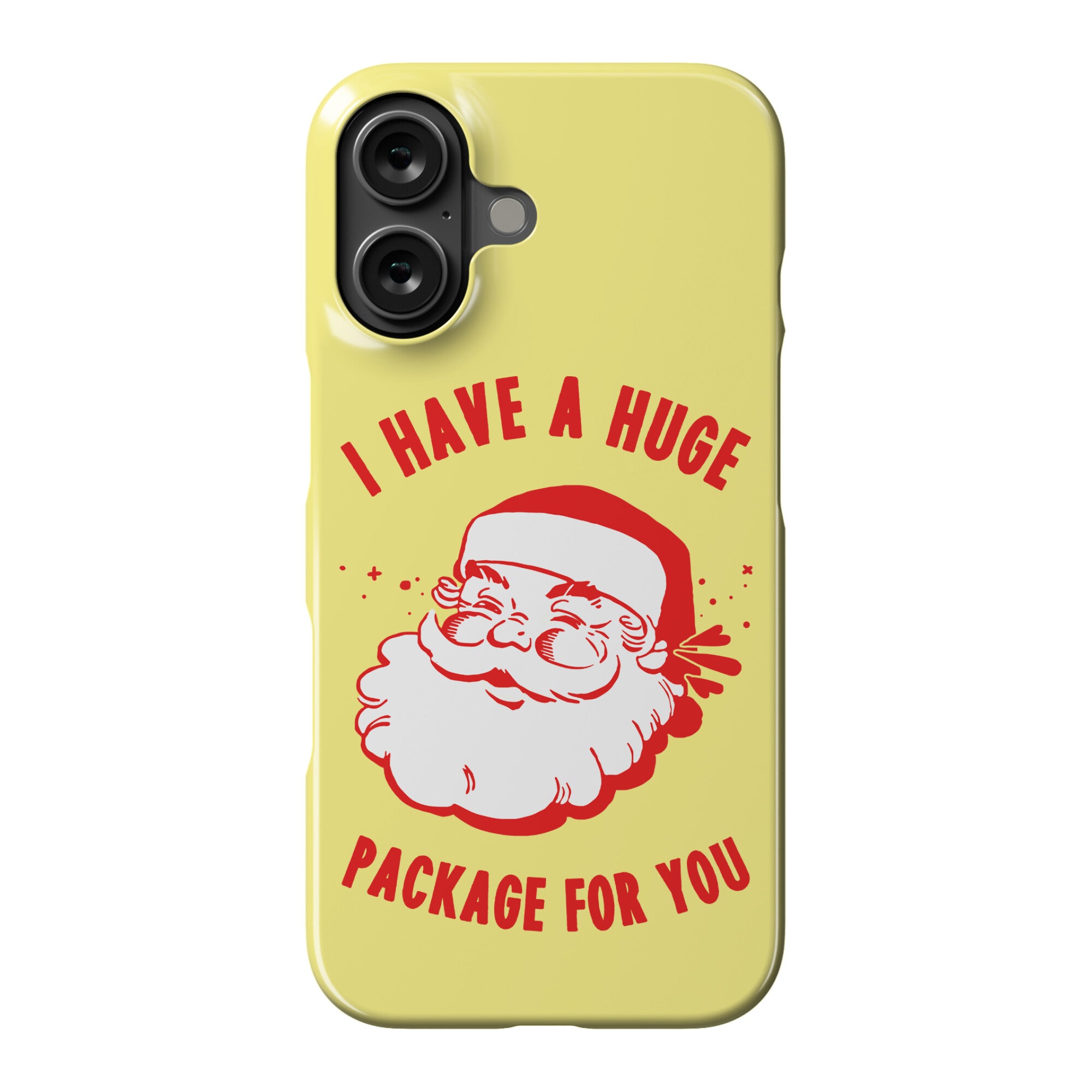 I Have A Huge Package For You Santa Phone Case