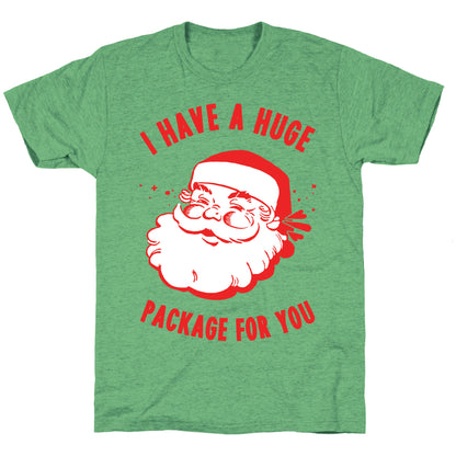 I Have A Huge Package For You Santa Unisex Triblend Tee