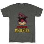 Dungeon Meowster Unisex Triblend Tee