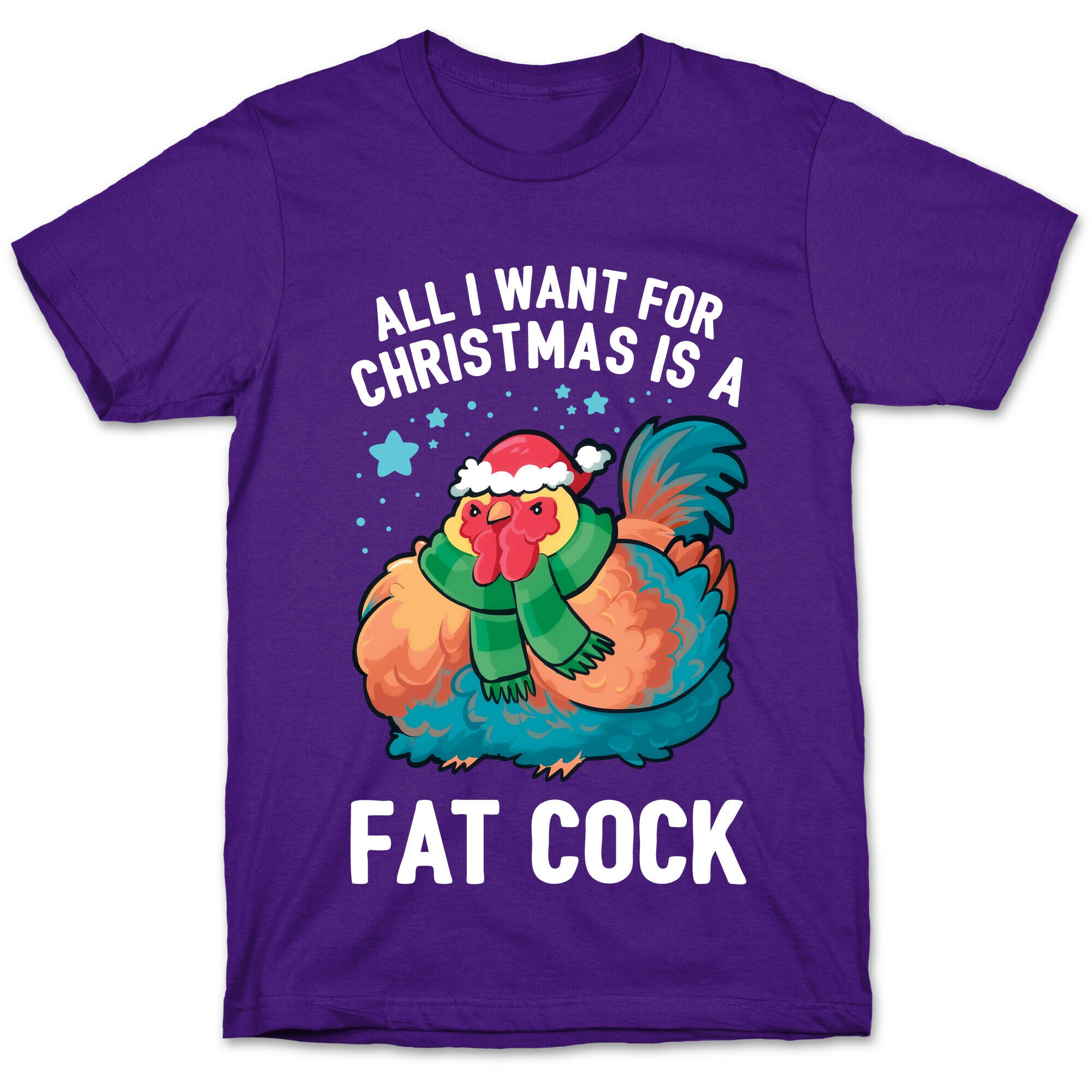 All I Want For Christmas Is A Fat Cock T-Shirt