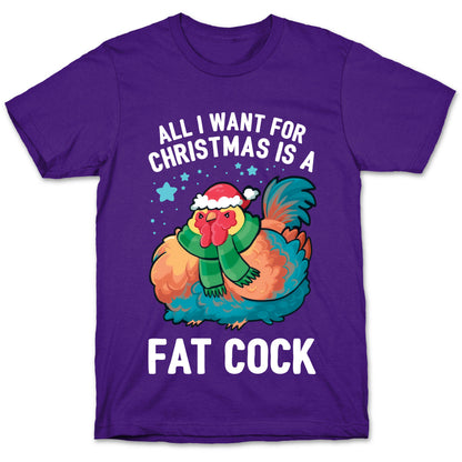 All I Want For Christmas Is A Fat Cock T-Shirt