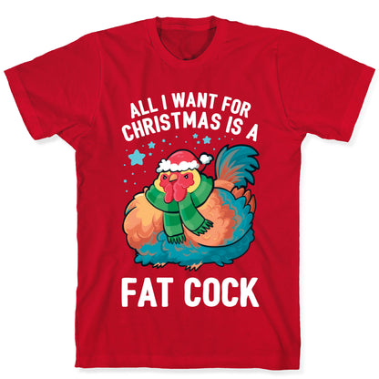 All I Want For Christmas Is A Fat Cock T-Shirt