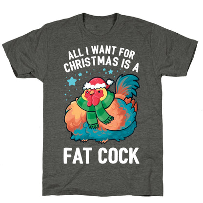 All I Want For Christmas Is A Fat Cock Unisex Triblend Tee