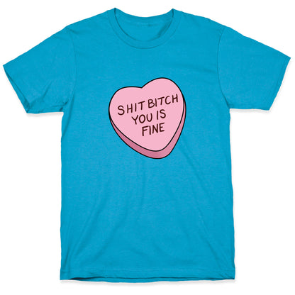 Shit Bitch You is Fine Unisex Triblend Tee