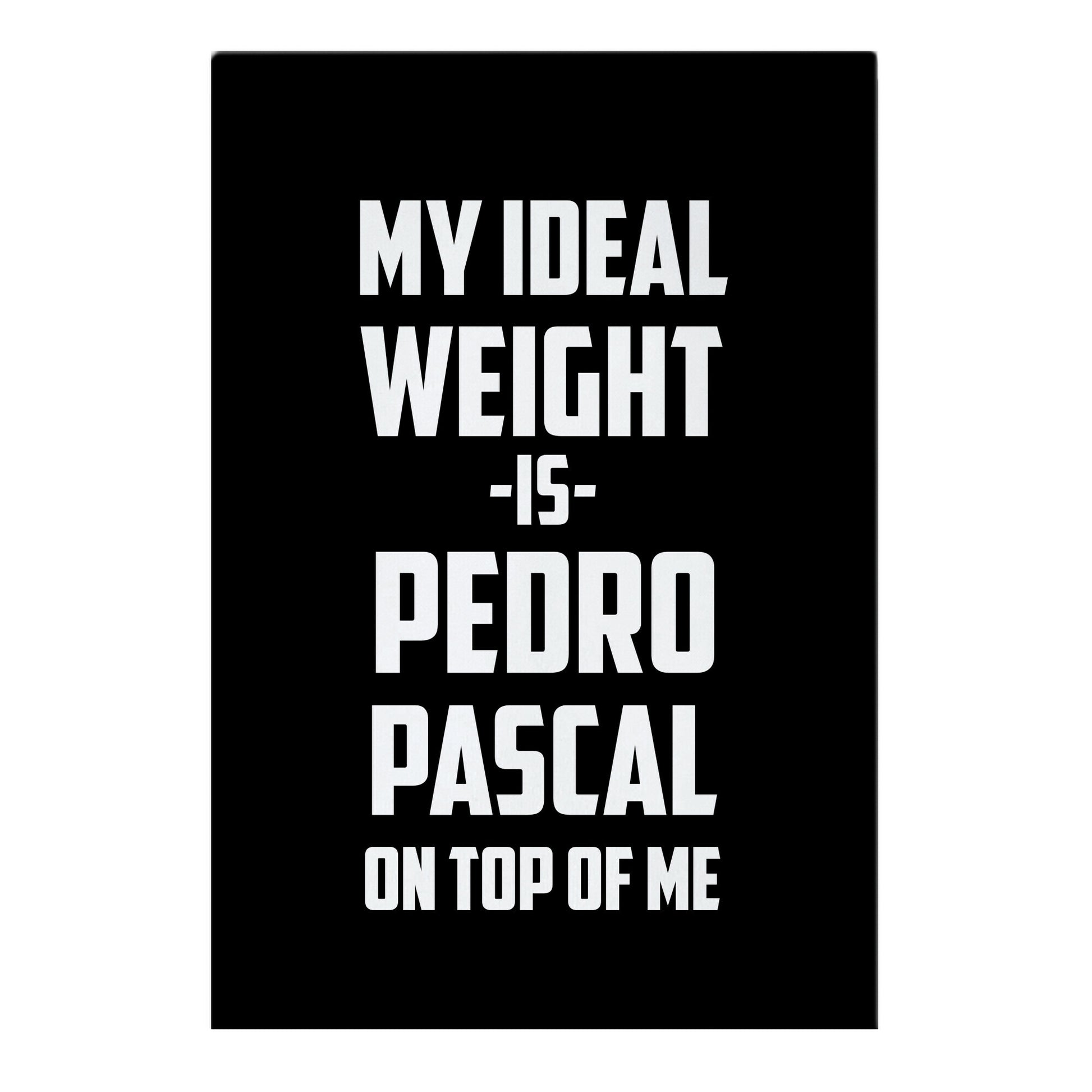 My Ideal Weight Is Pedro Pescal On Top Of Me Garden Flag