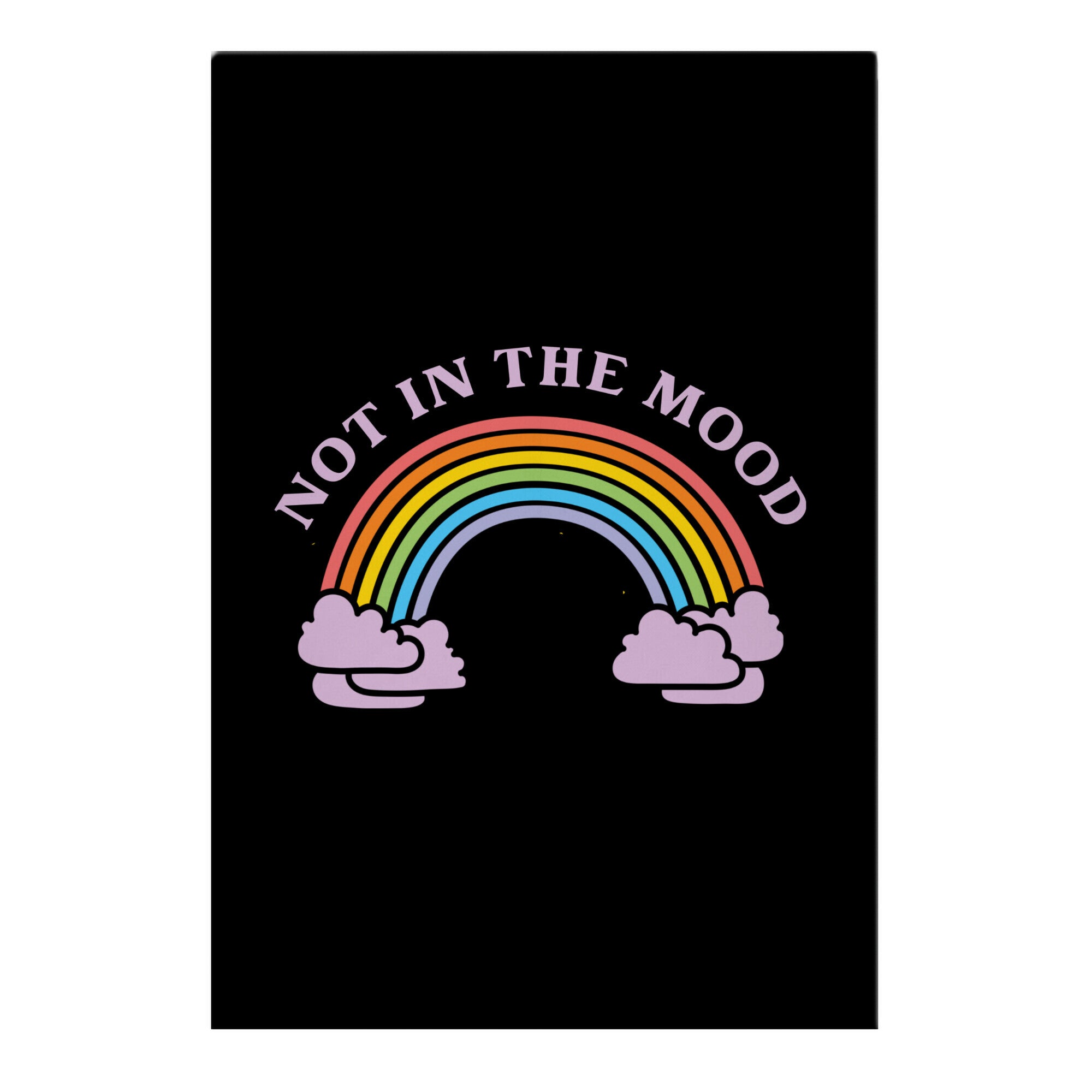 Not In The Mood Garden Flag