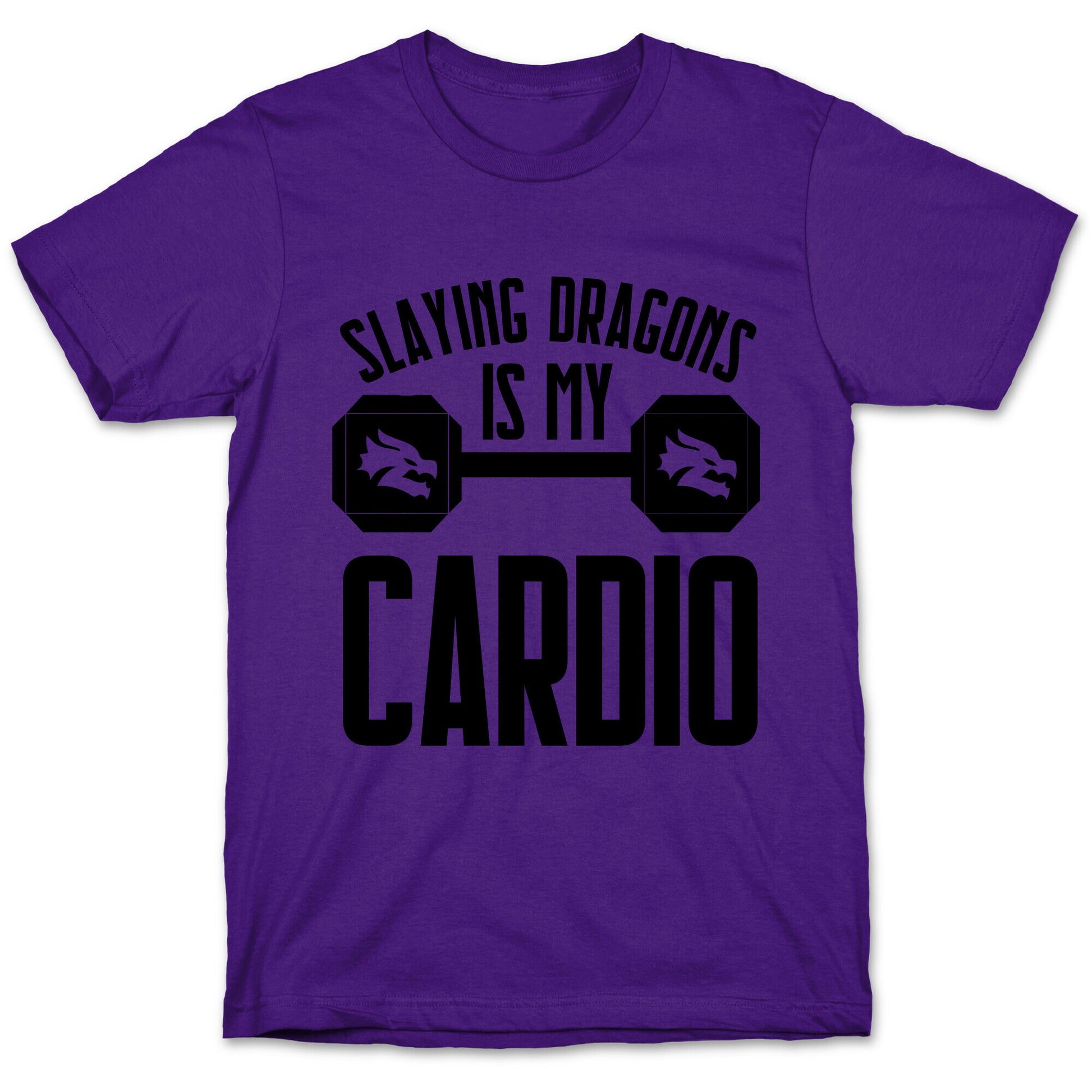 Slaying Dragons Is My Cardio T-Shirt