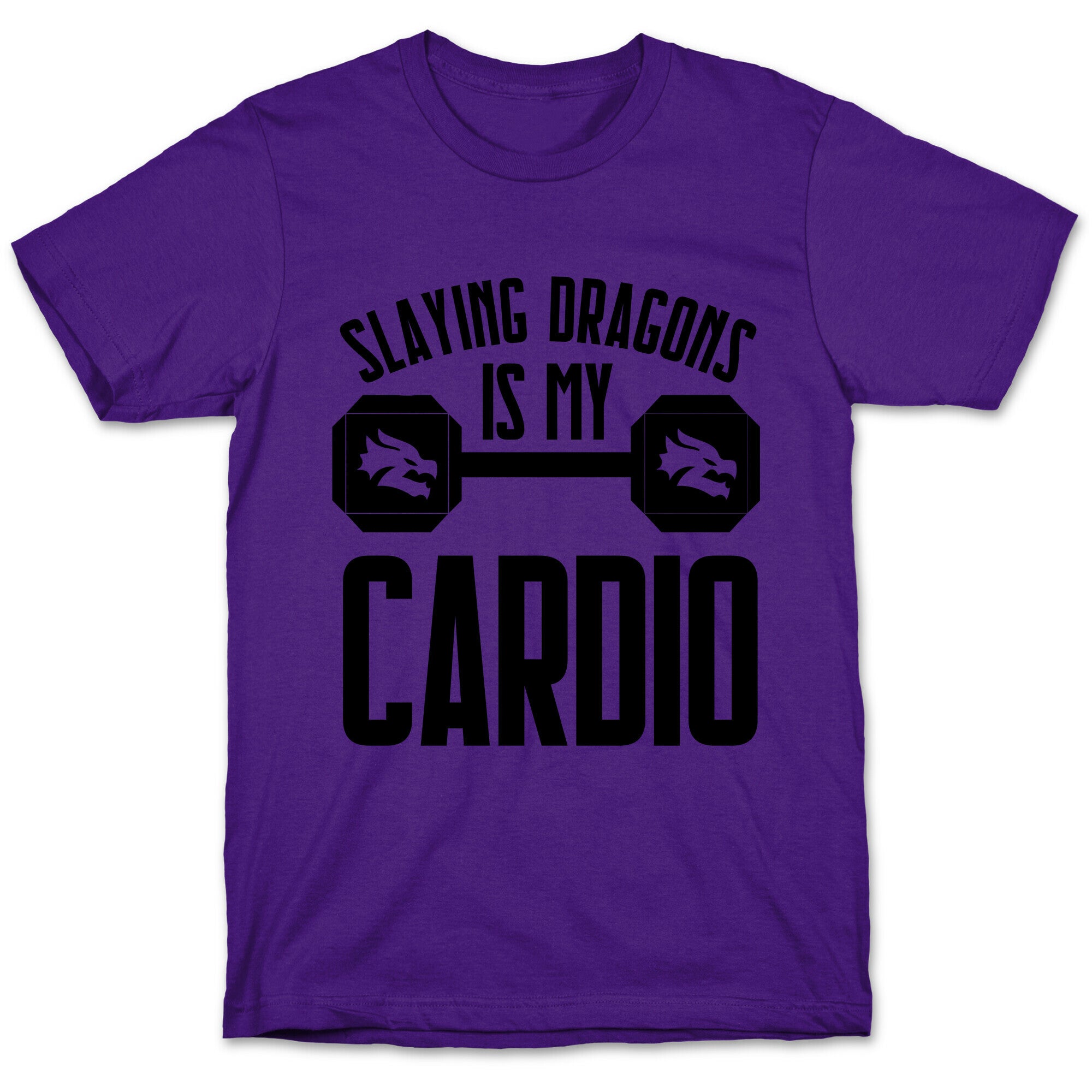 Slaying Dragons Is My Cardio T-Shirt