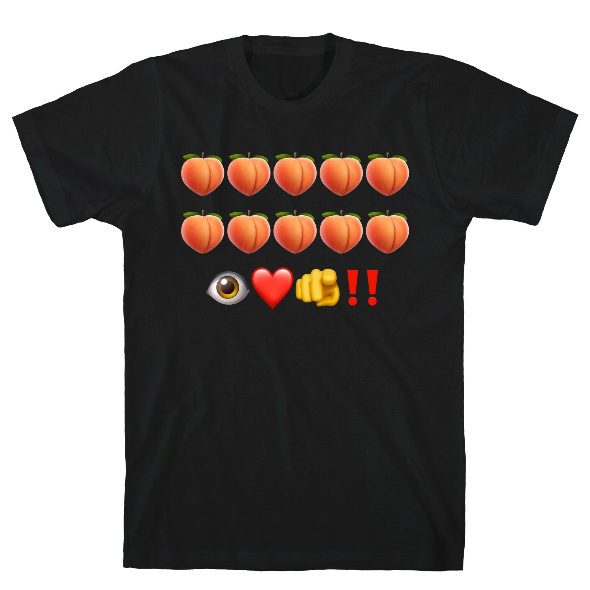 A Turtle’s Ballad T-Shirt