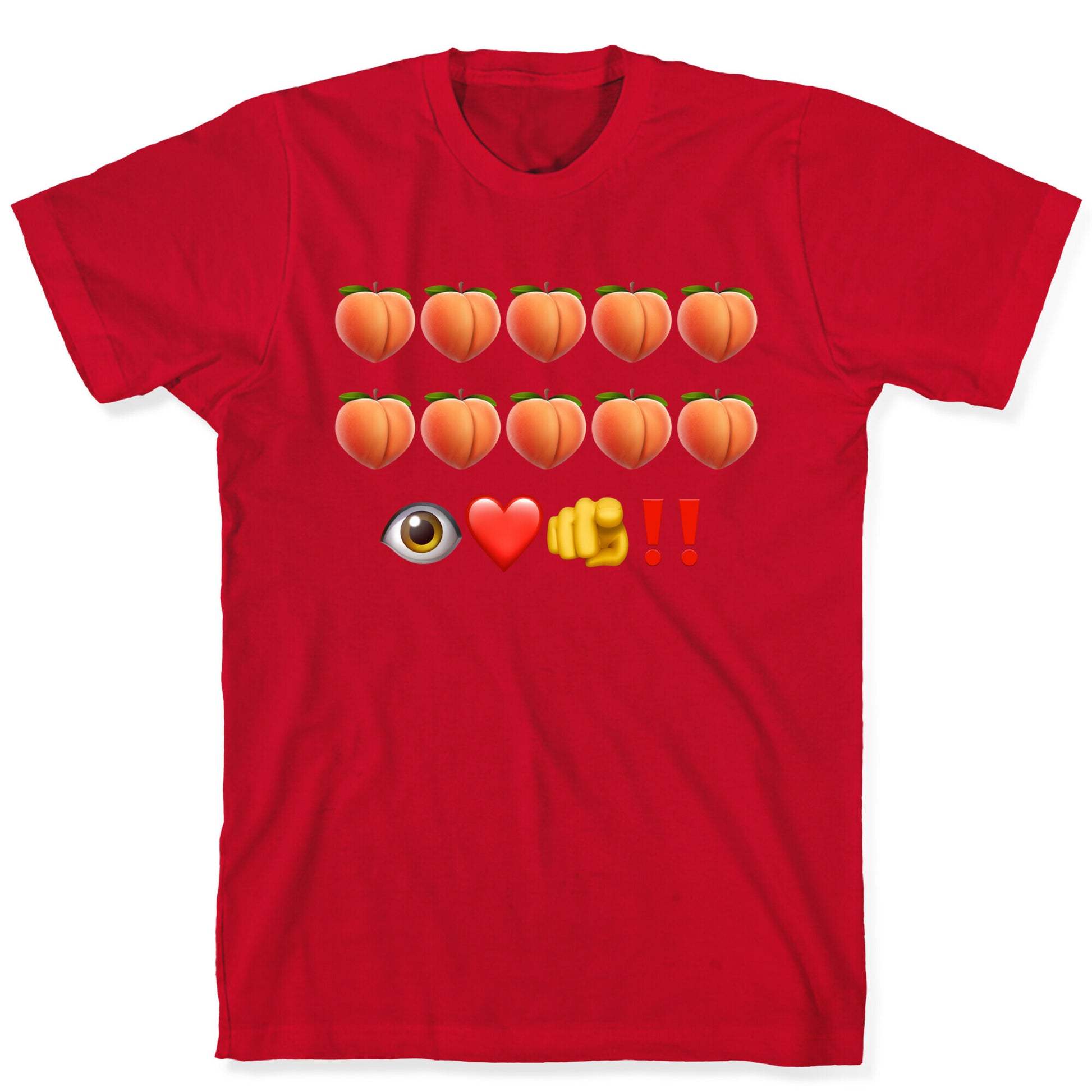 A Turtle’s Ballad T-Shirt
