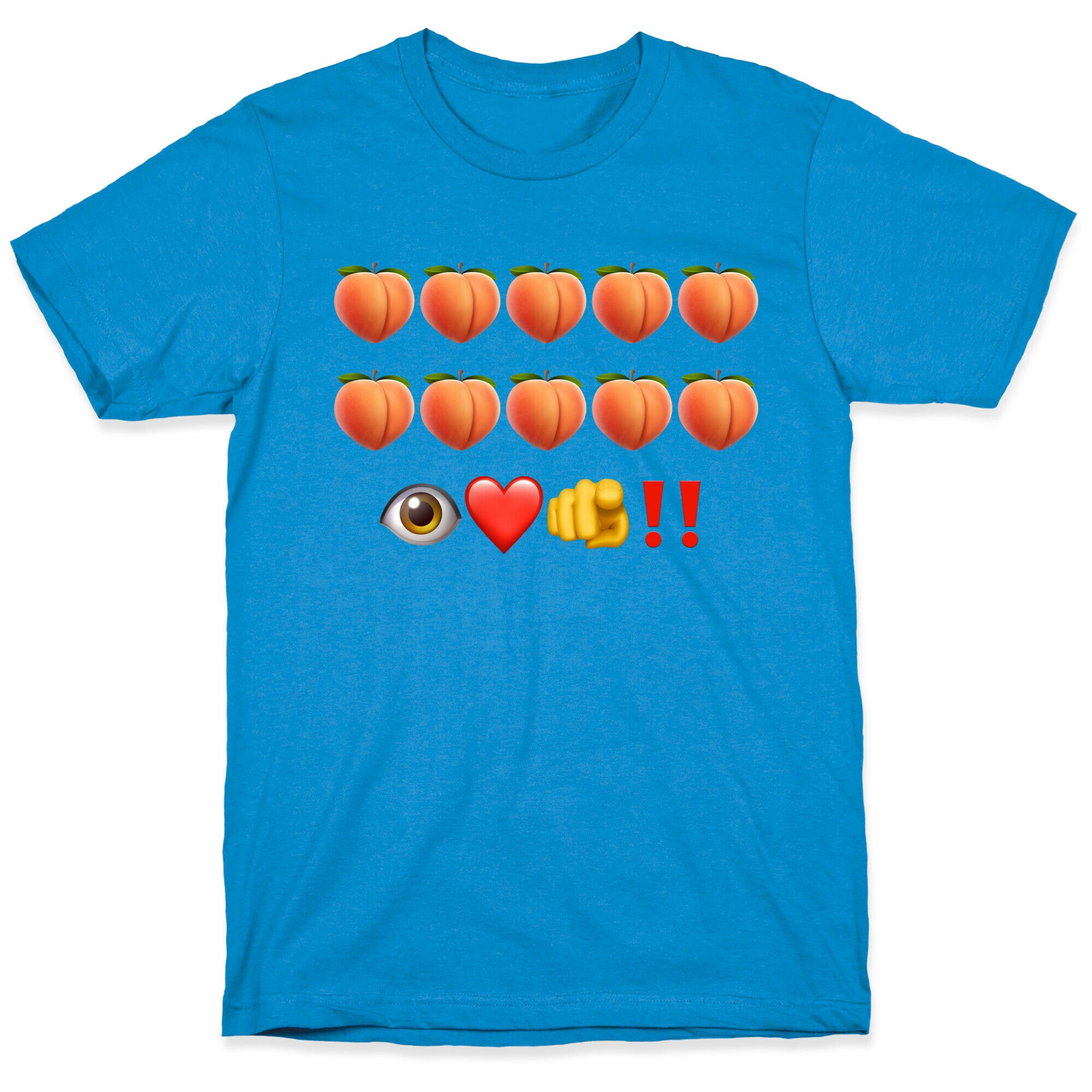 A Turtle’s Ballad T-Shirt