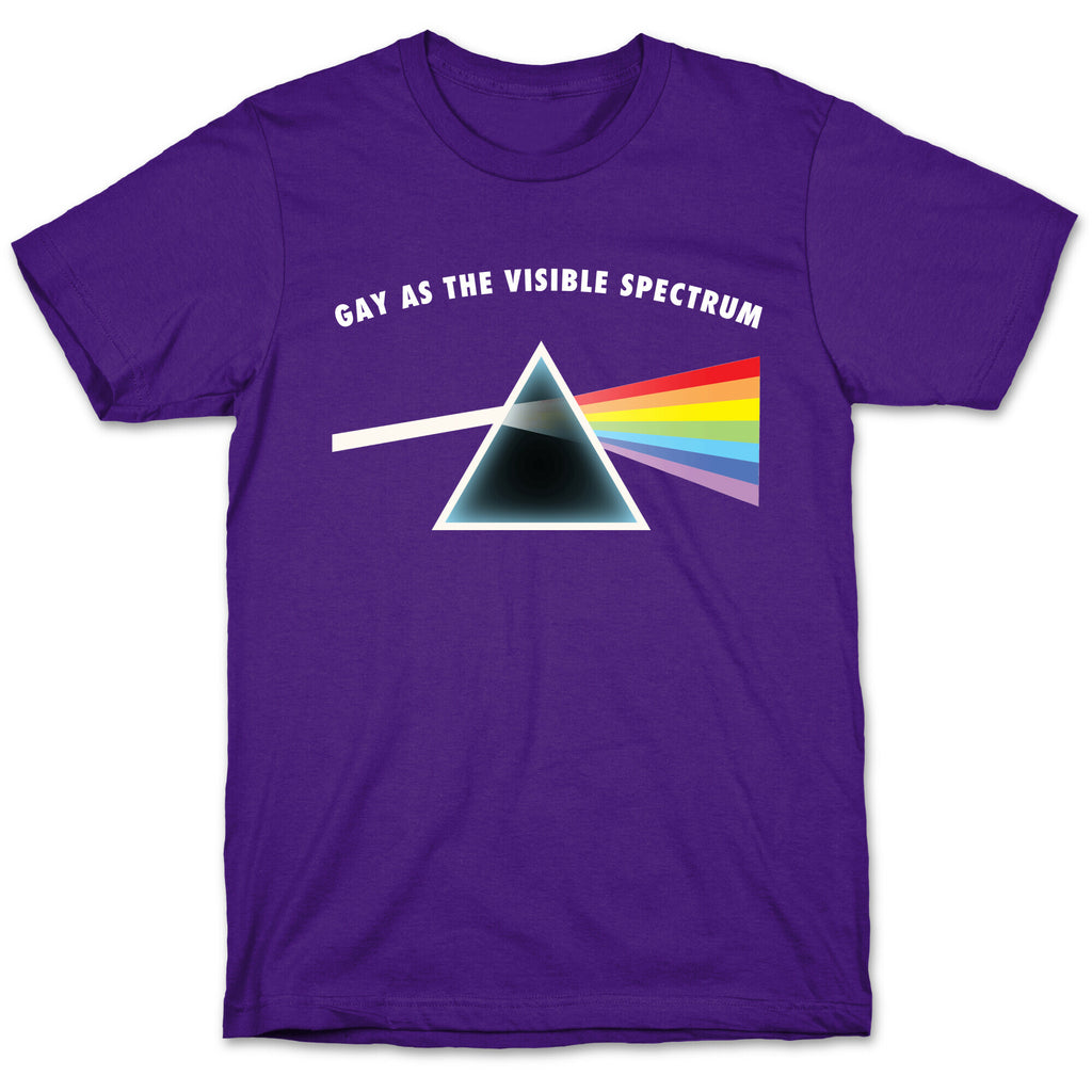 GAY AS THE VISIBLE SPECTRUM T-Shirt
