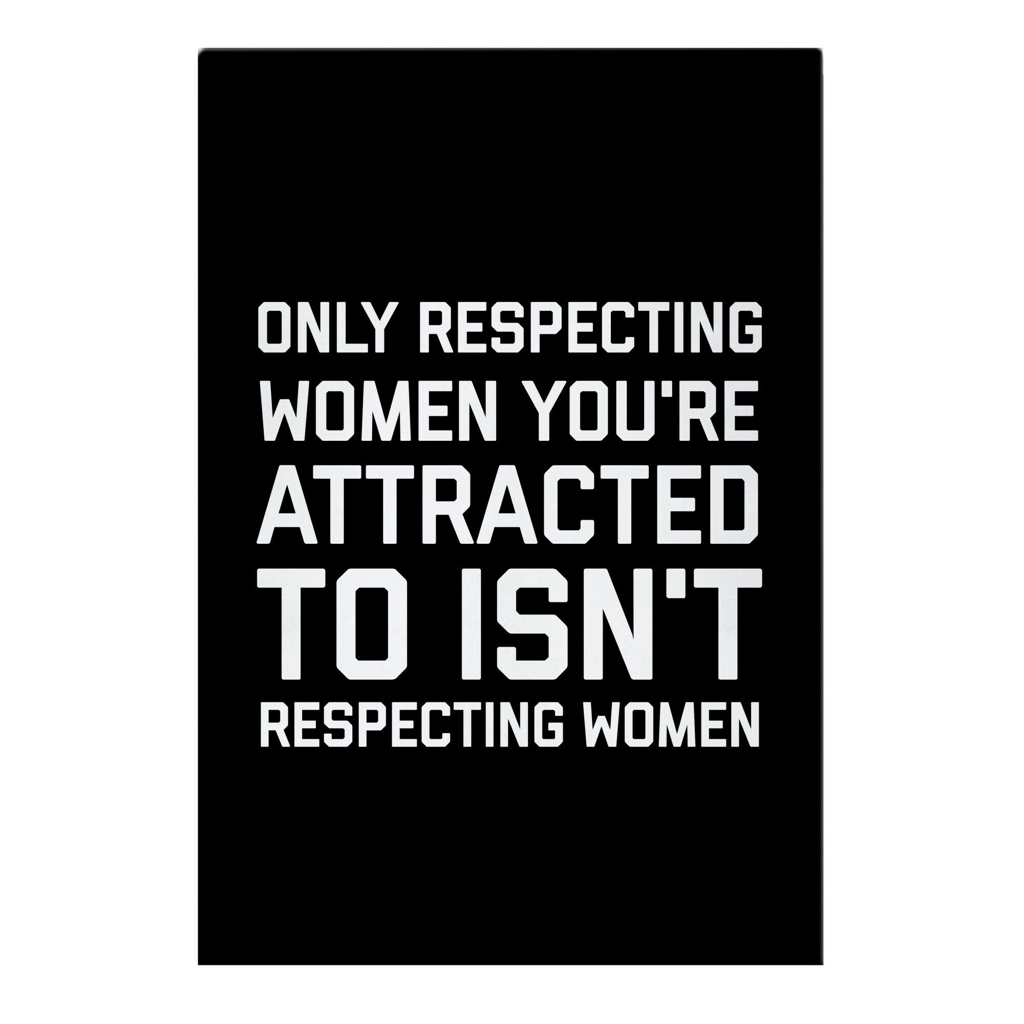 Only Respecting Women You're Attracted To Isn't Respecting Women Garden Flag