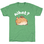 What? Unisex Triblend Tee