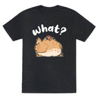 What? Unisex Triblend Tee