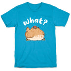 What? Unisex Triblend Tee