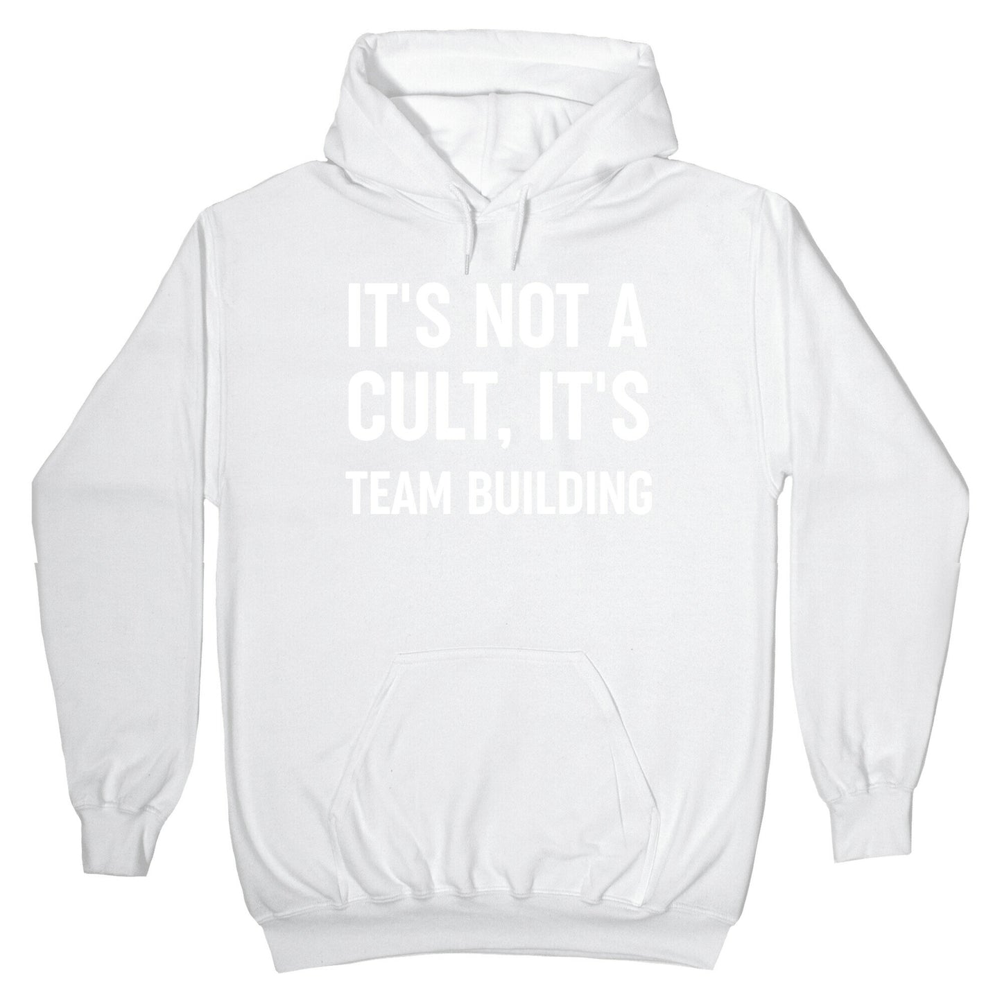 It's Not A Cult, It's Team Building Hoodie