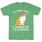 My Tummy Hurts & I'm Mad At The Government  Unisex Triblend Tee