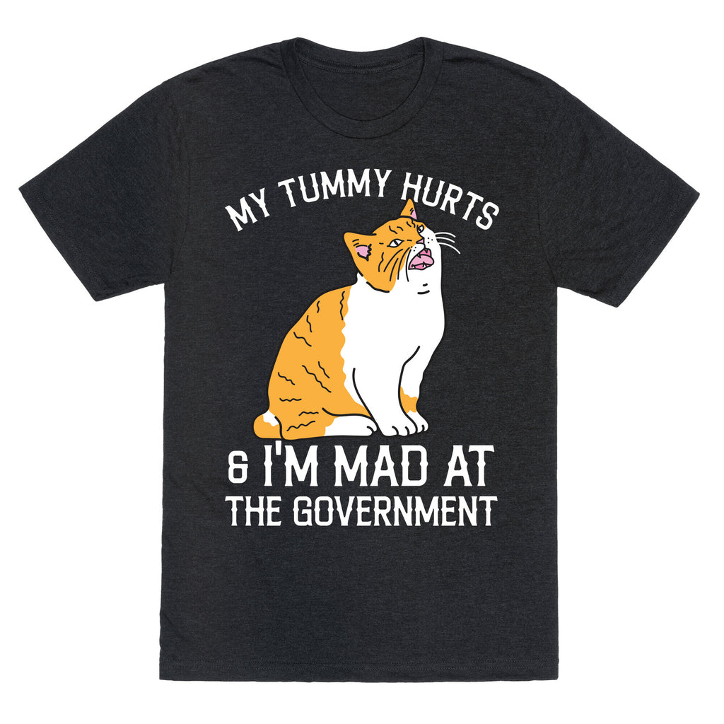 My Tummy Hurts & I'm Mad At The Government  Unisex Triblend Tee