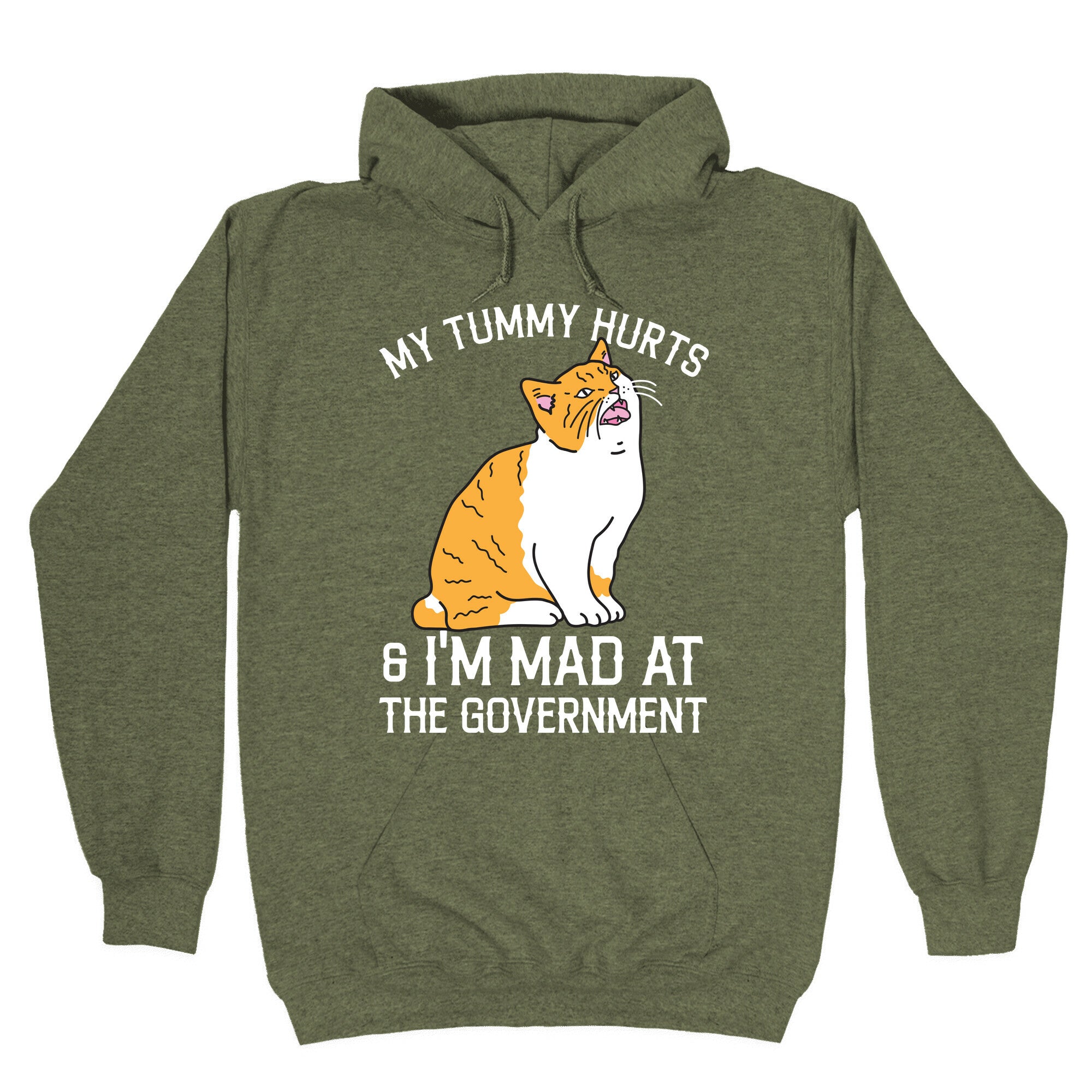 My Tummy Hurts & I'm Mad At The Government Hoodie