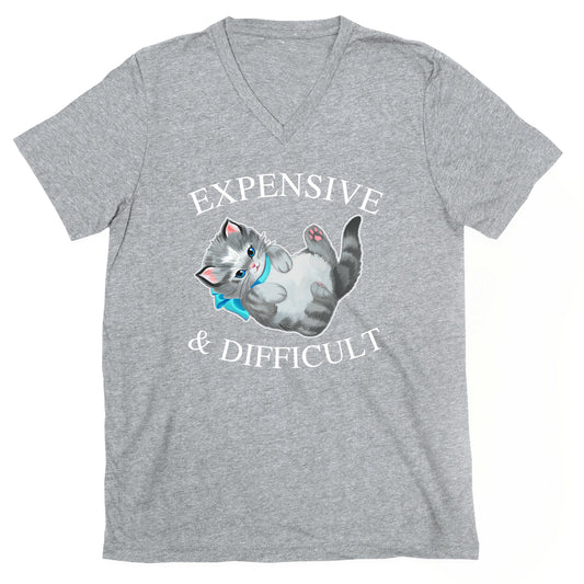 Expensive & Difficult  V-Neck