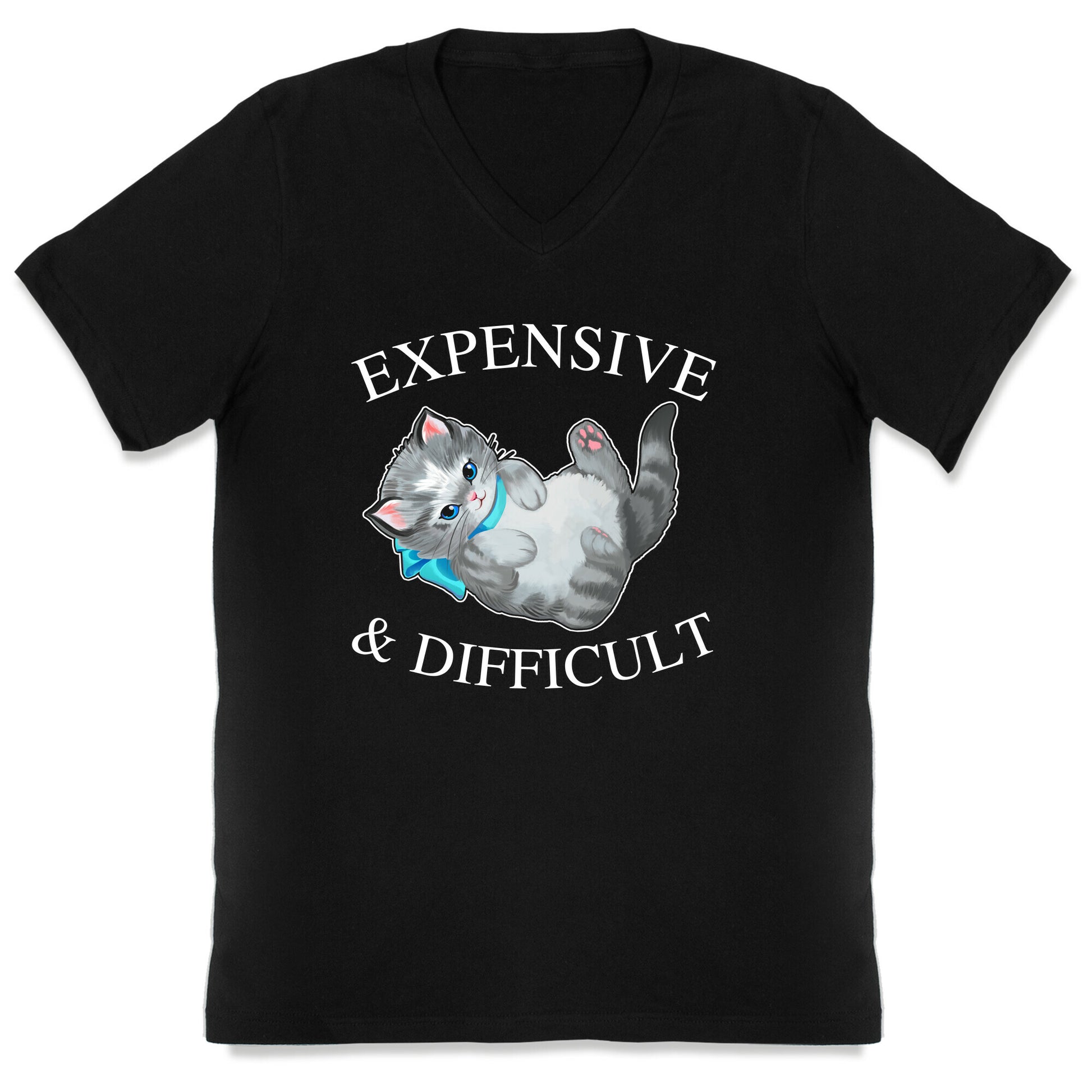 Expensive & Difficult  V-Neck