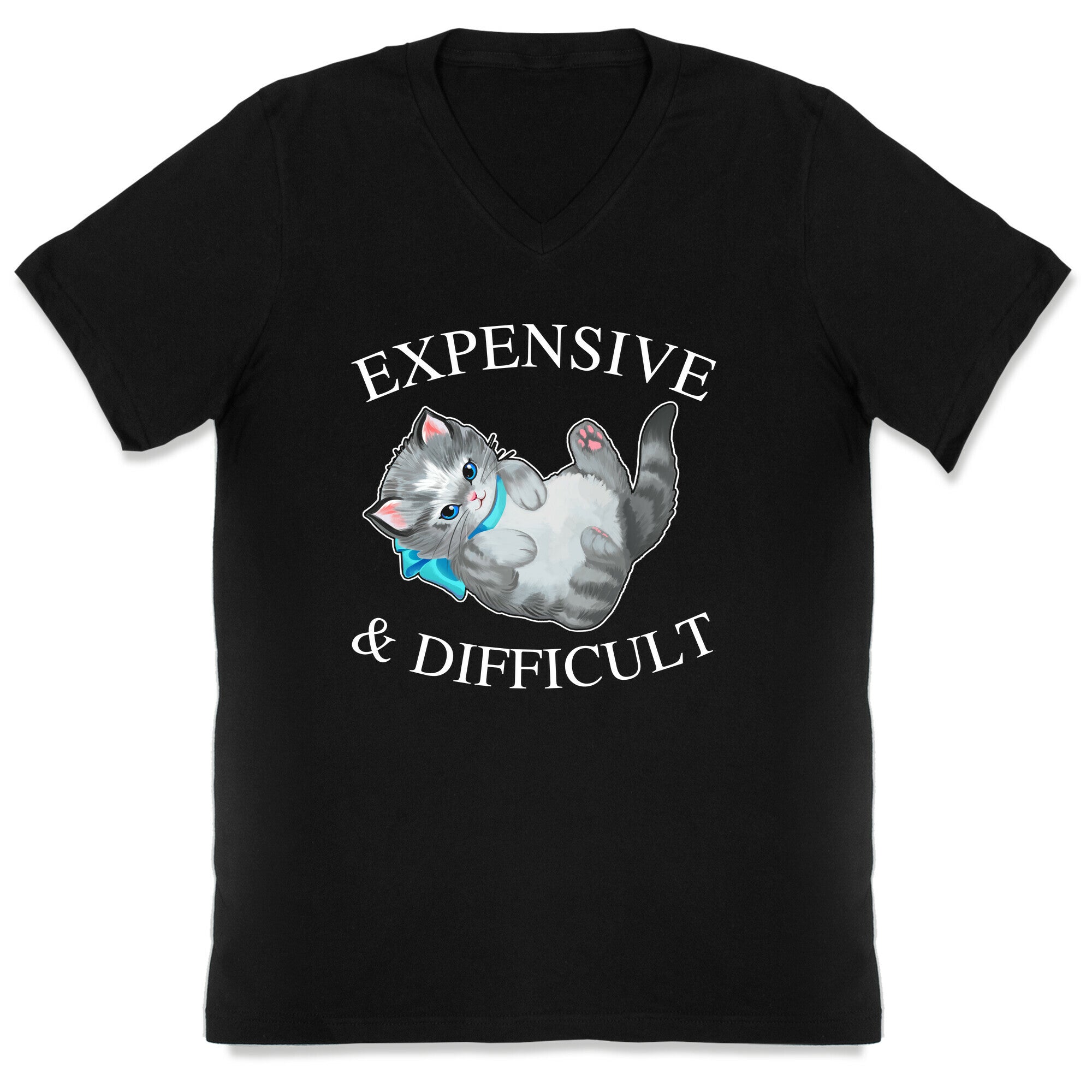 Expensive & Difficult  V-Neck