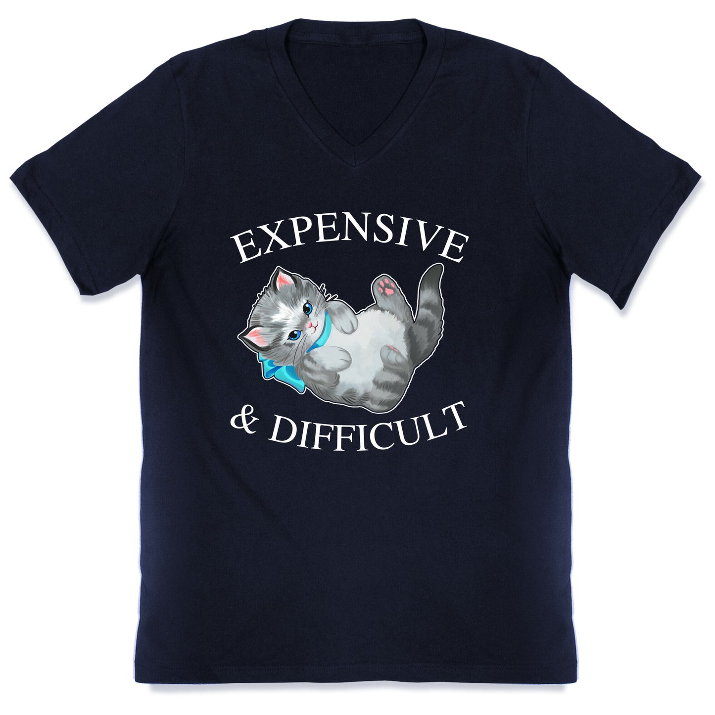 Expensive & Difficult  V-Neck