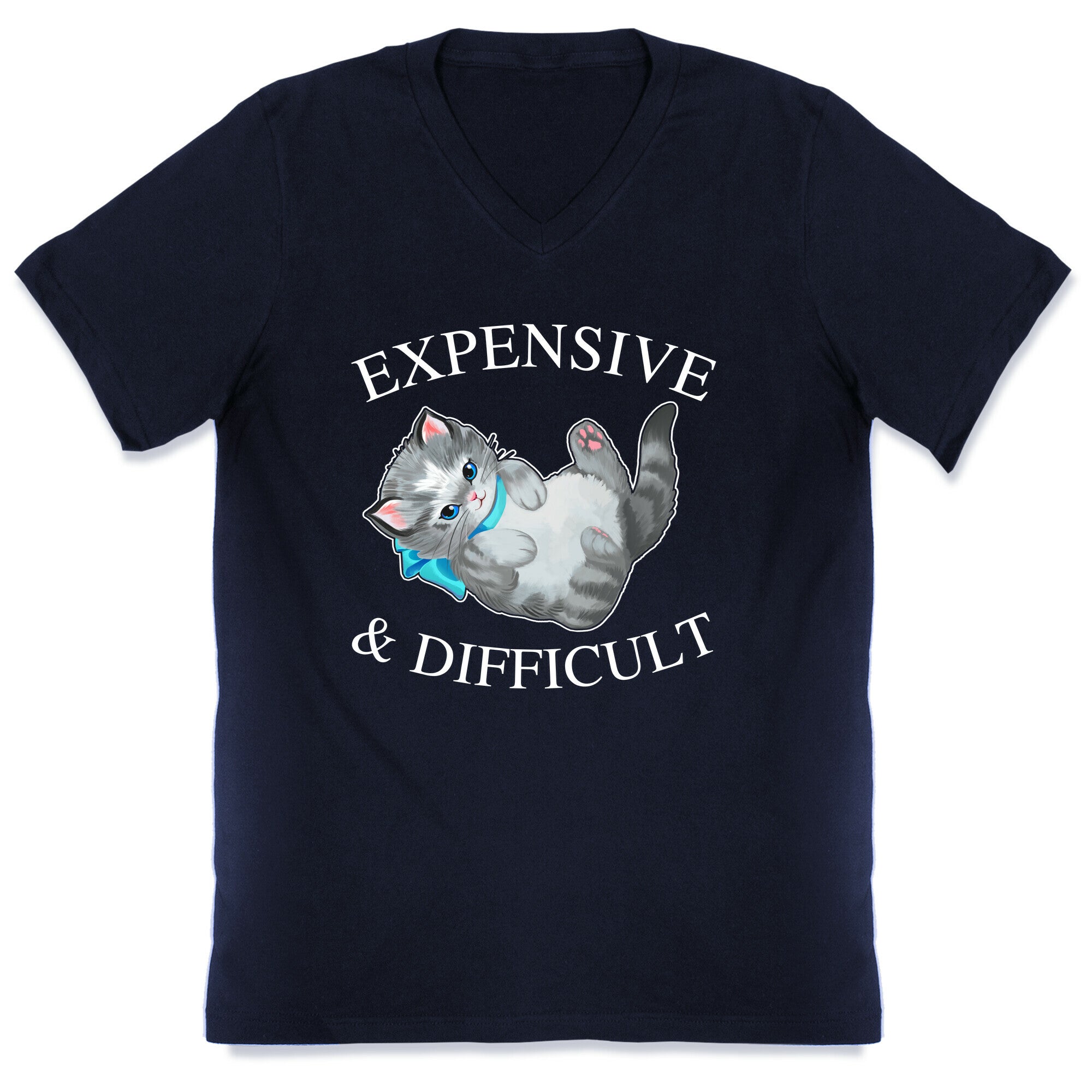 Expensive & Difficult  V-Neck