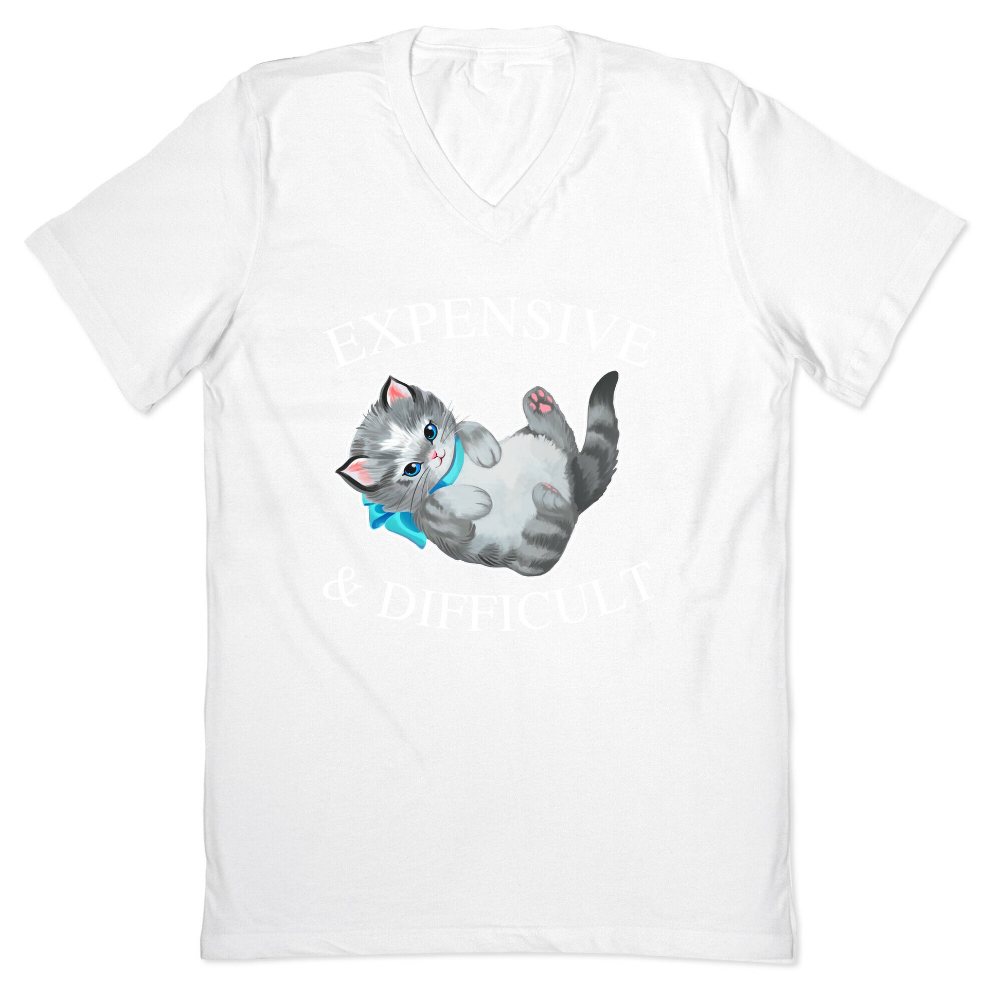 Expensive & Difficult  V-Neck