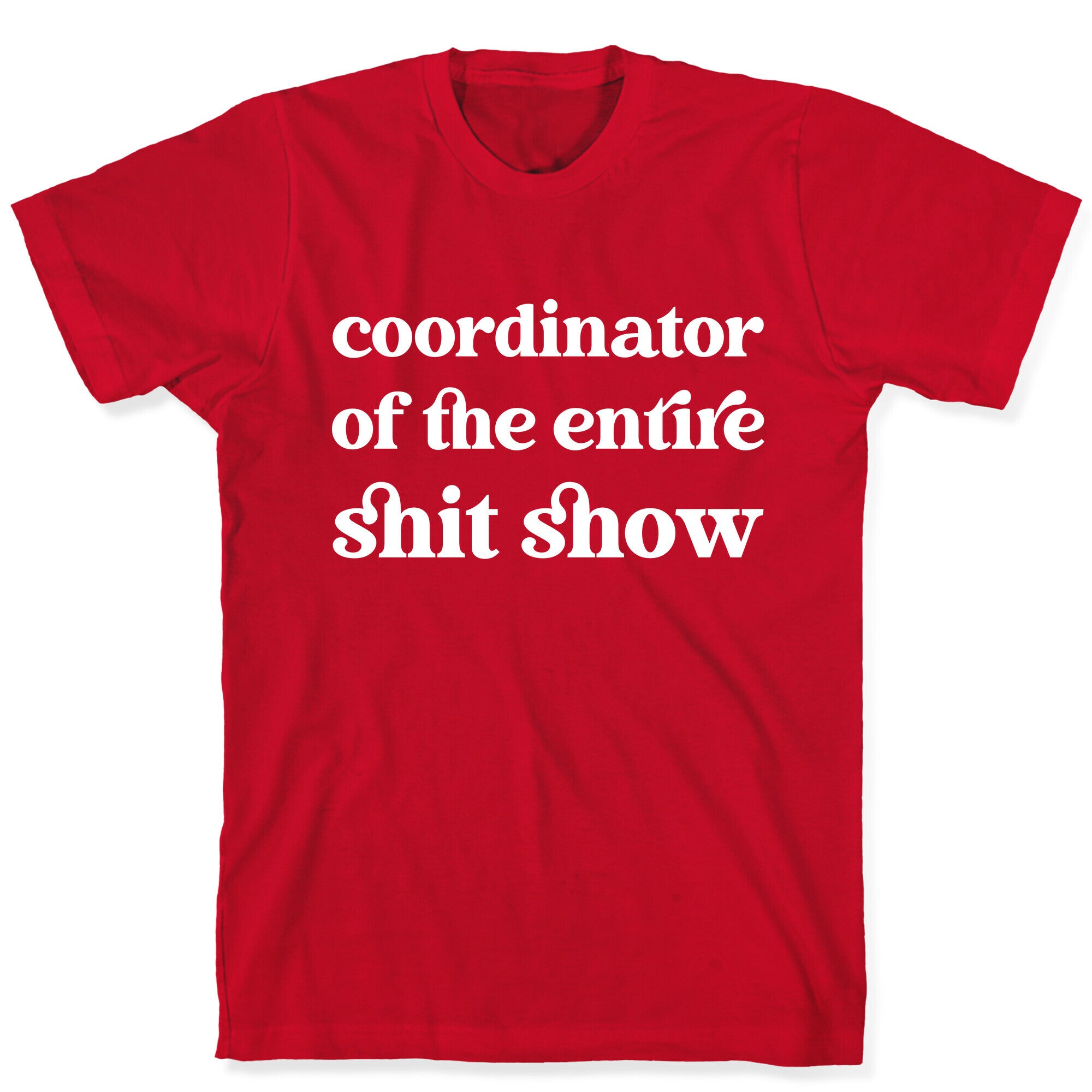 Coordinator Of The Entire Shit Show T-Shirt