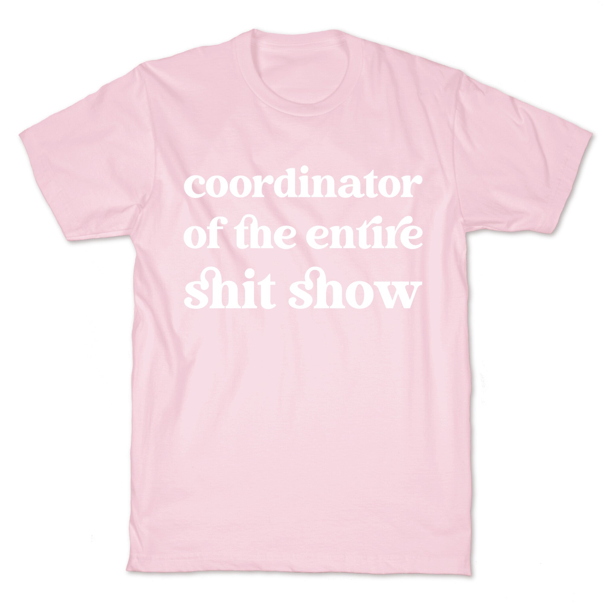Coordinator Of The Entire Shit Show T-Shirt
