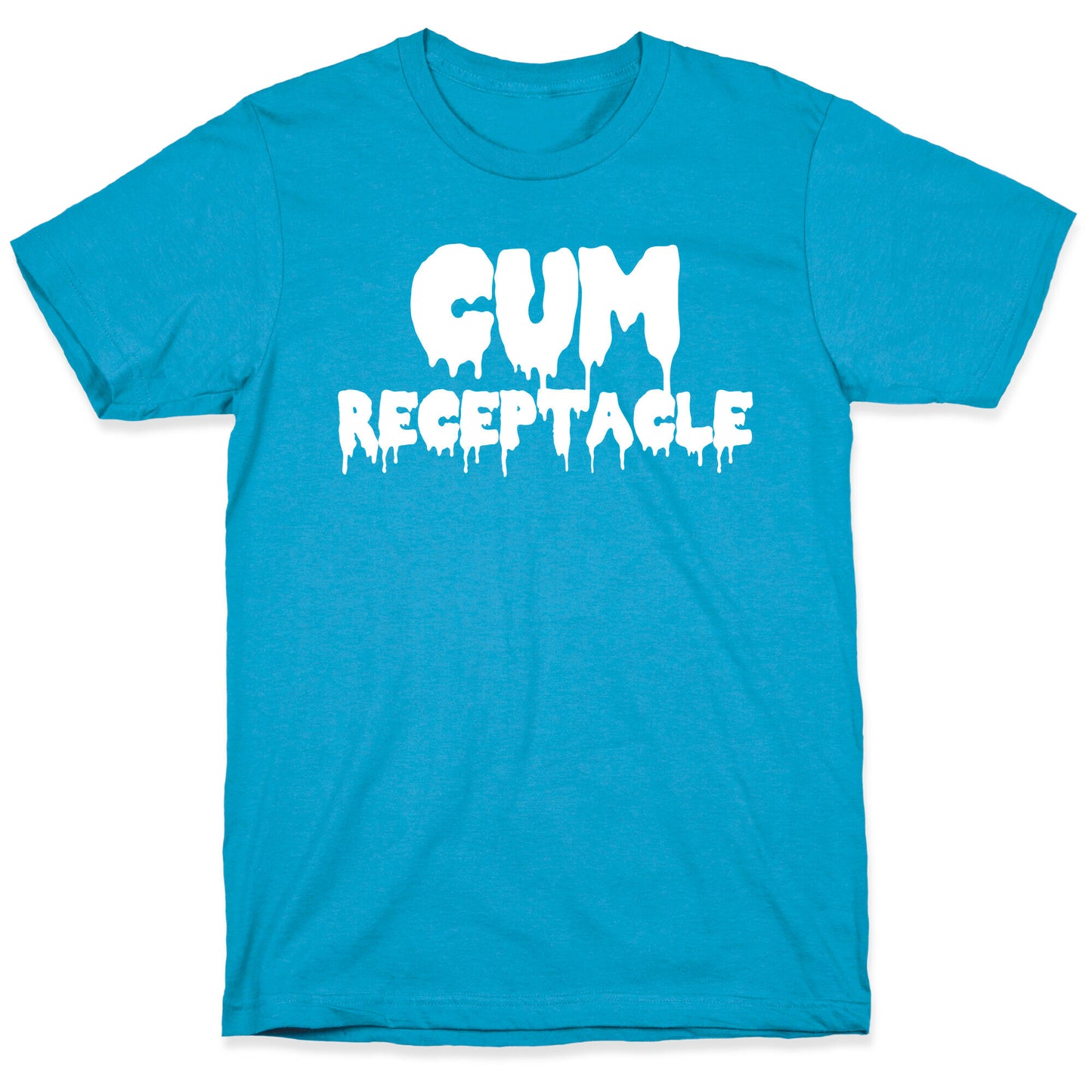 Cum Receptacle Unisex Triblend Tee