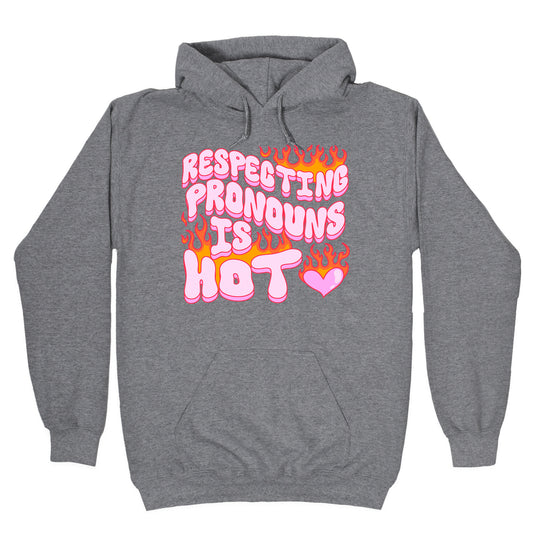 Respecting Pronouns Is Hot Hoodie