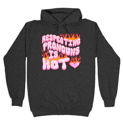 Respecting Pronouns Is Hot Hoodie