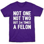 Not One Not Two But 34 Times A Felon  T-Shirt