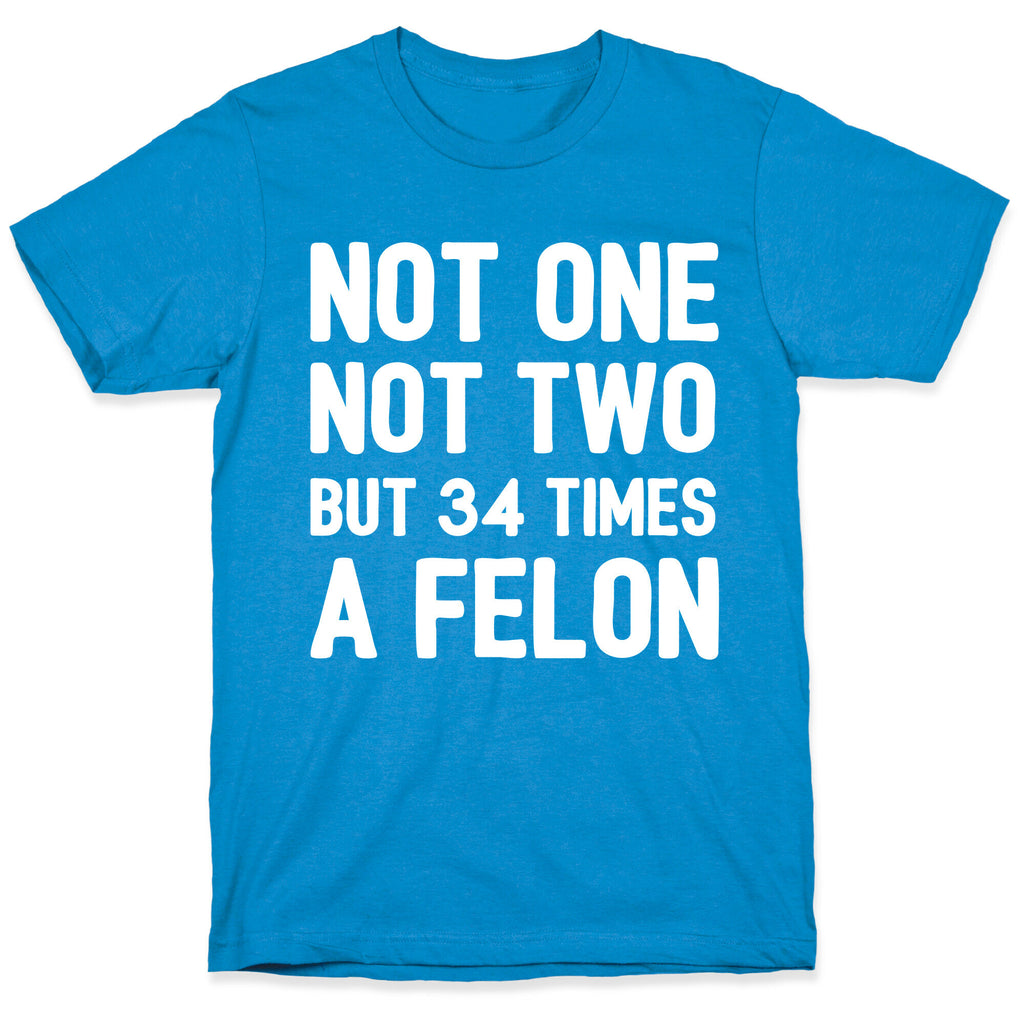 Not One Not Two But 34 Times A Felon  T-Shirt