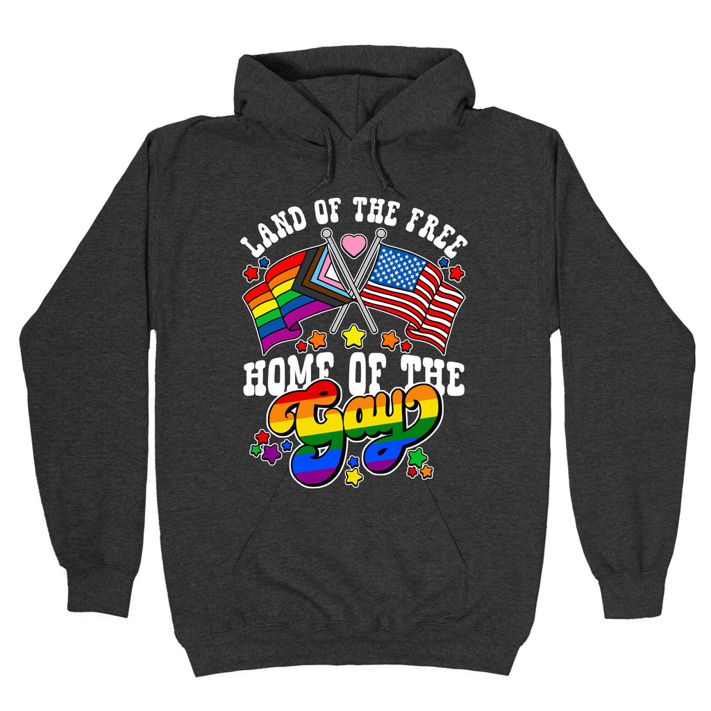 Land of the Free Home of the Gay Hoodie