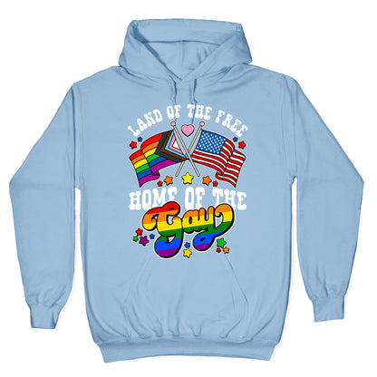 Land of the Free Home of the Gay Hoodie