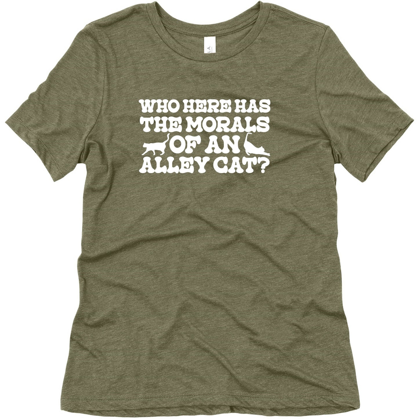 Who Here Has the Morals of an Alley Cat? Womens Triblend Tee