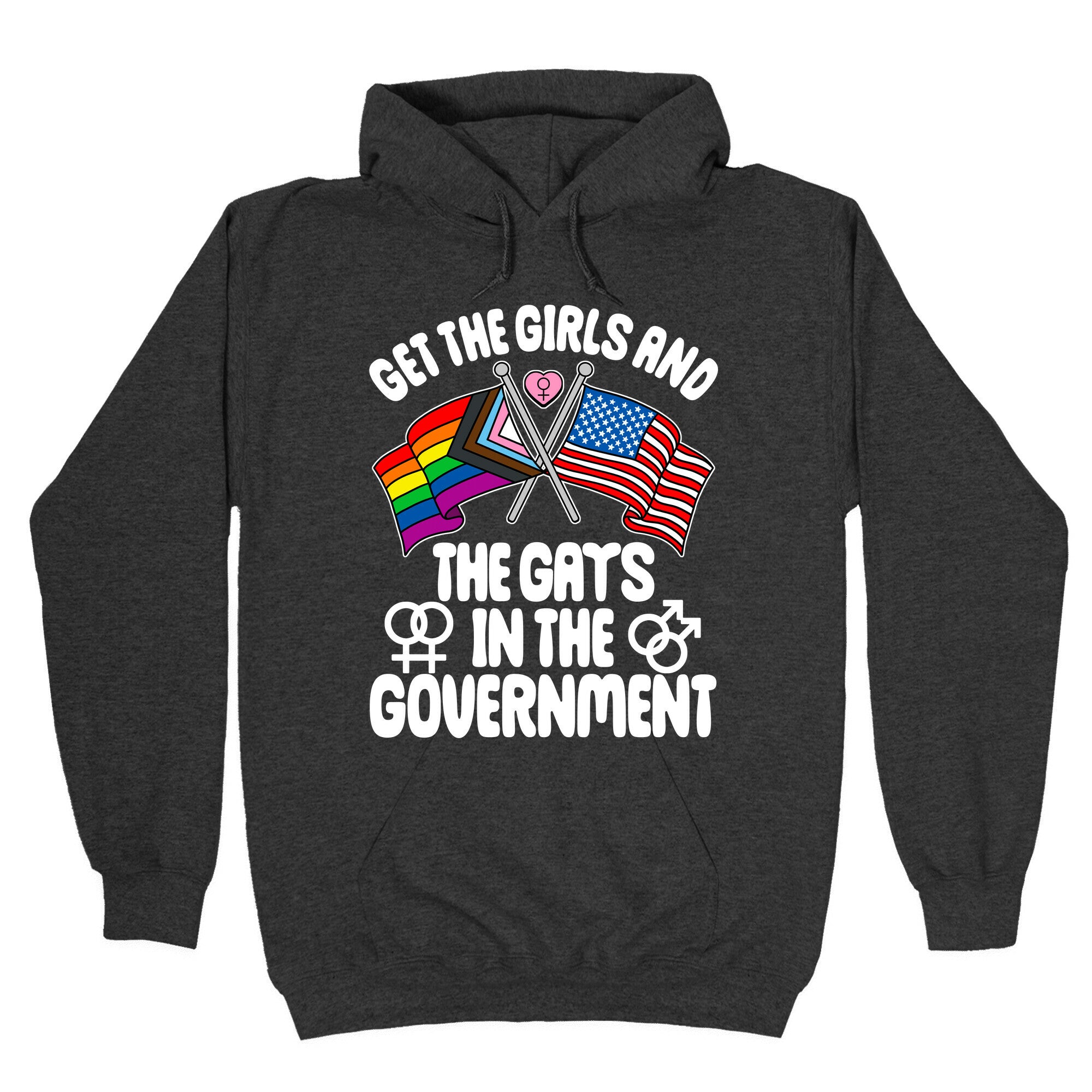 Get The Girls and The Gays In The Government Hoodie