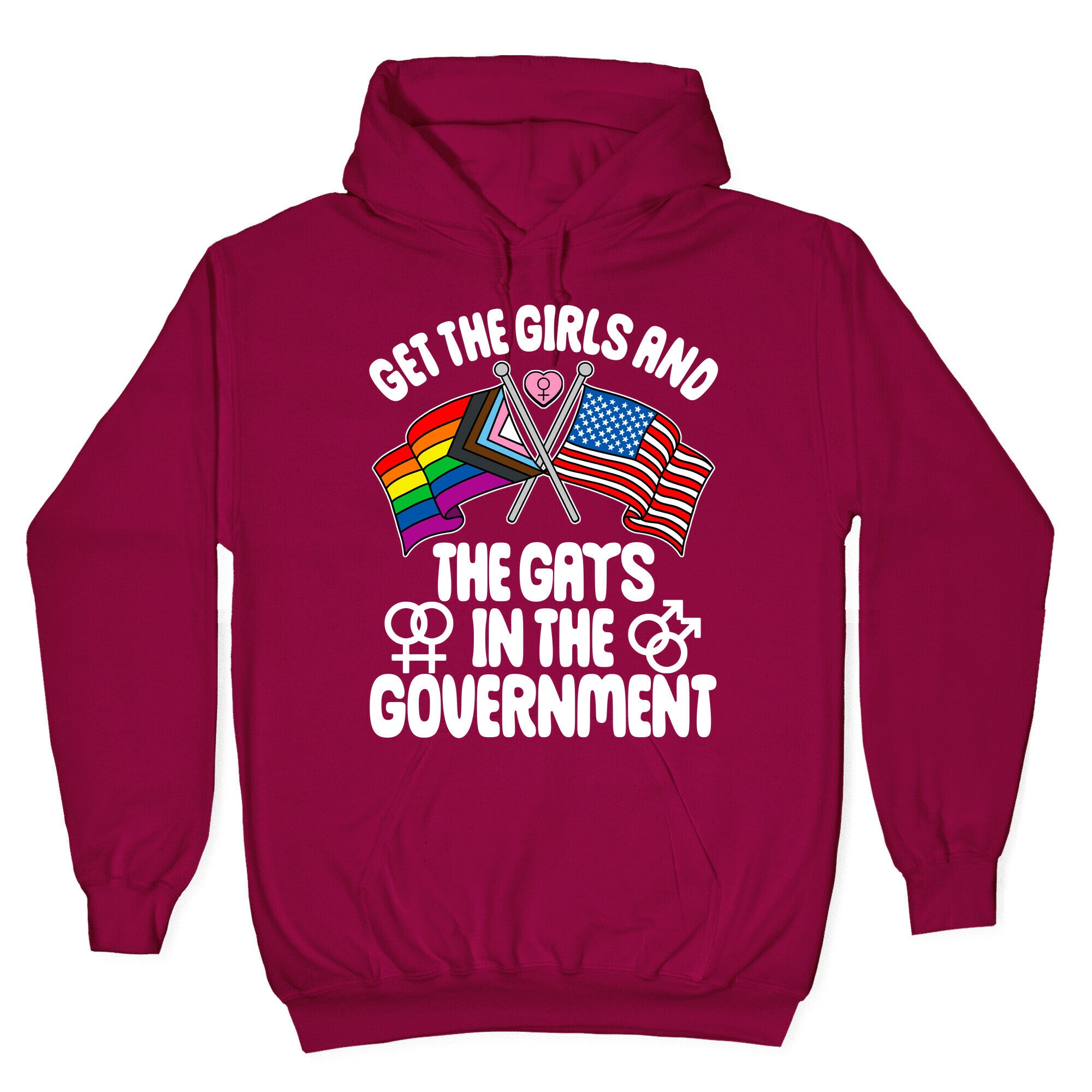 Get The Girls and The Gays In The Government Hoodie