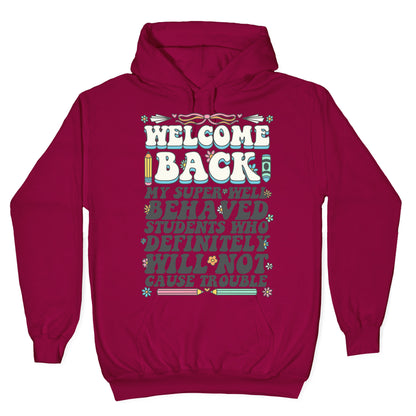 WELCOME BACK MY SUPER WELL BEHAVED STUDENTS Hoodie