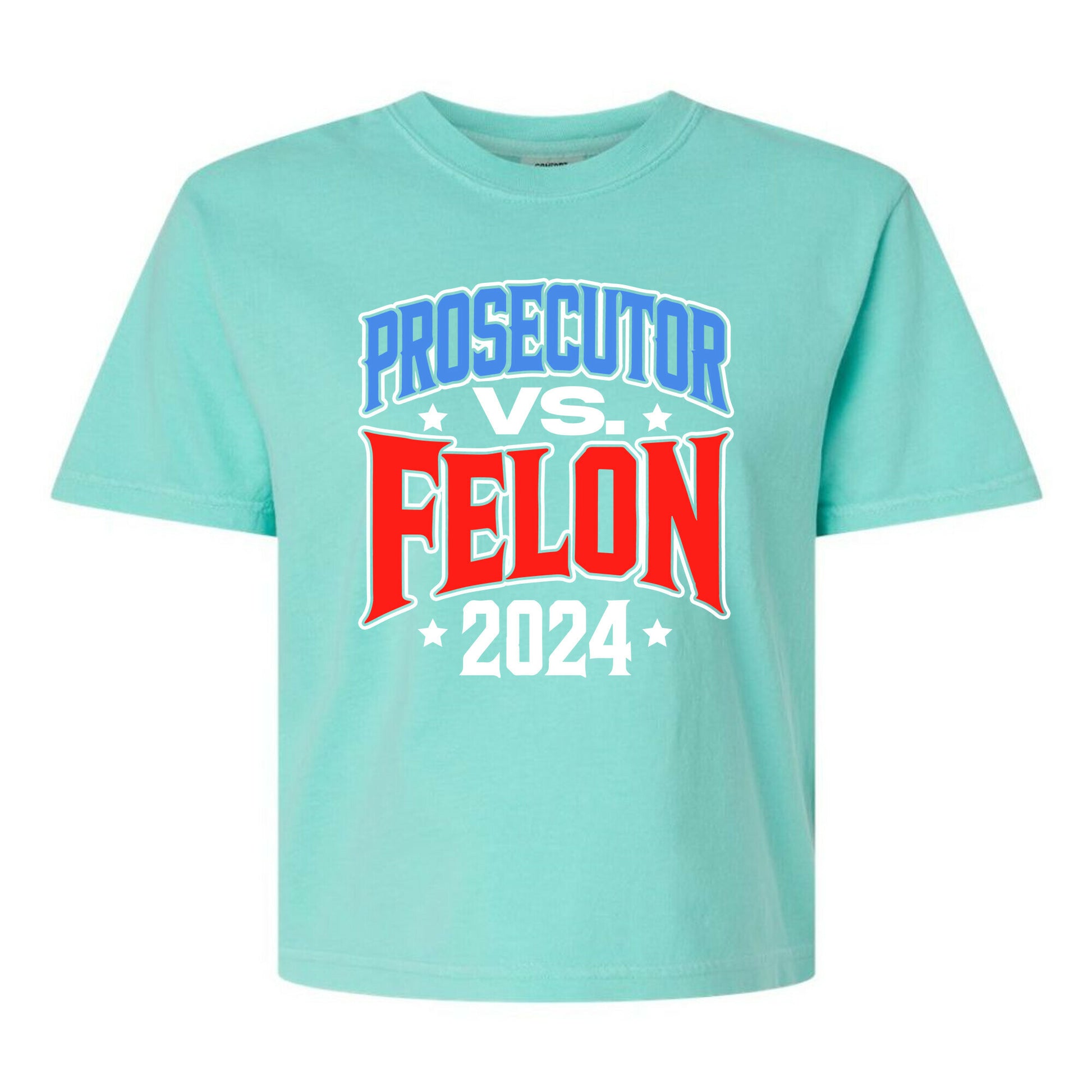 Prosecutor VS. Felon 2024 Womens Cotton Boxy Tee