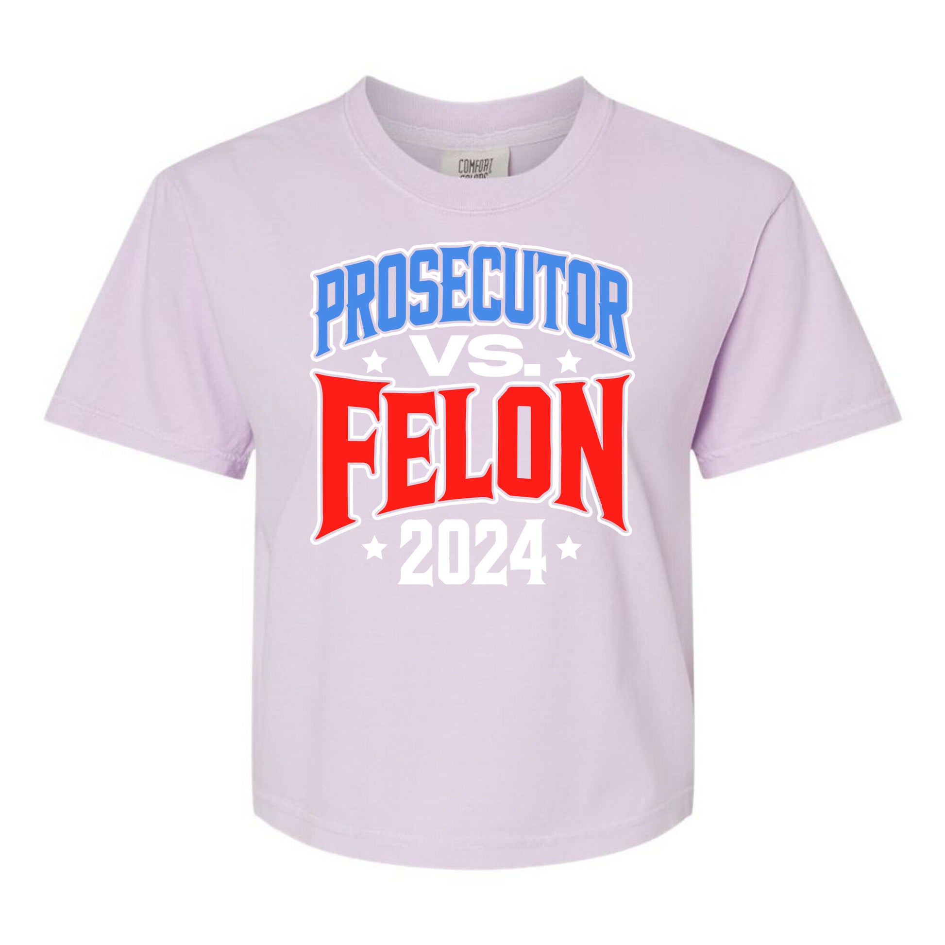 Prosecutor VS. Felon 2024 Womens Cotton Boxy Tee