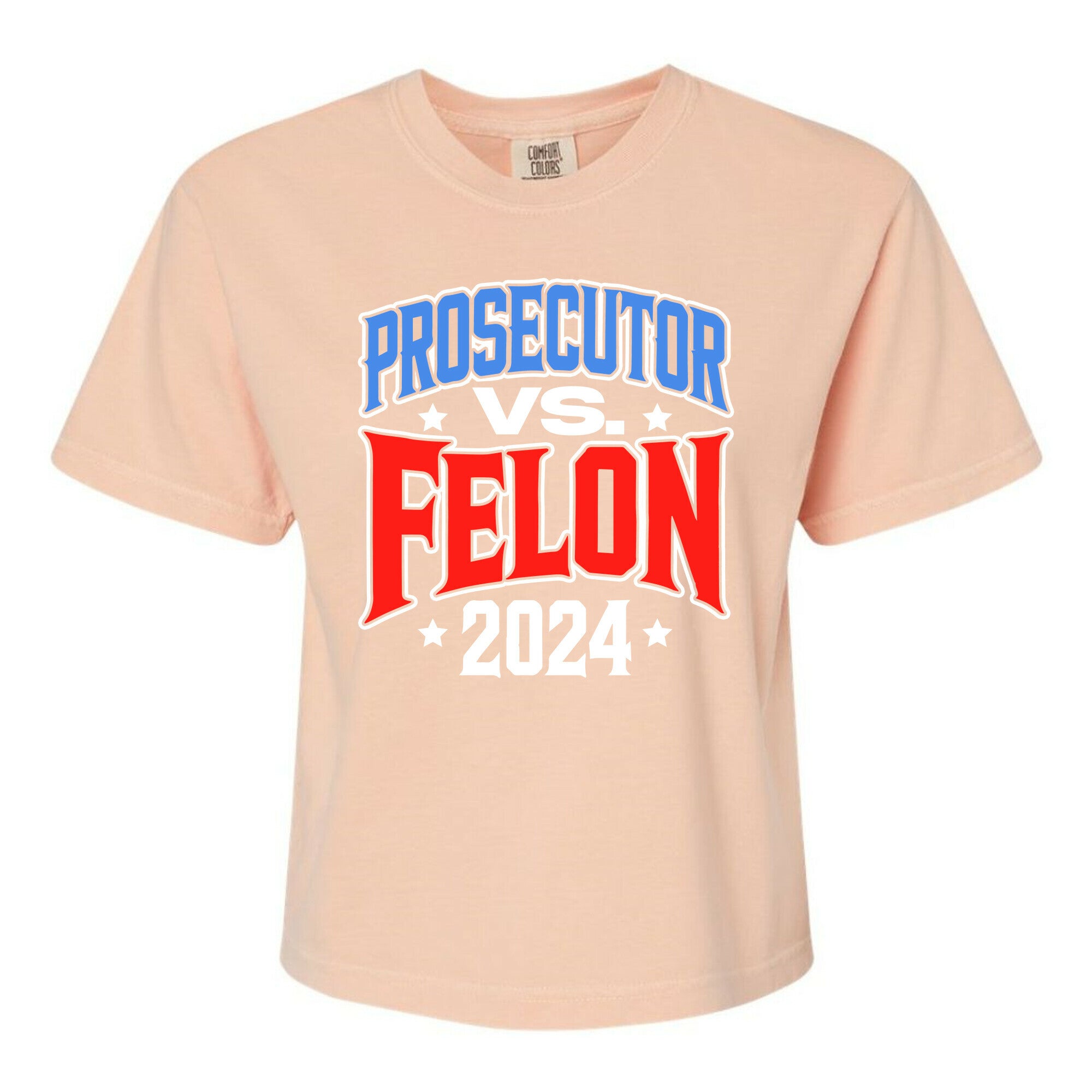 Prosecutor VS. Felon 2024 Womens Cotton Boxy Tee