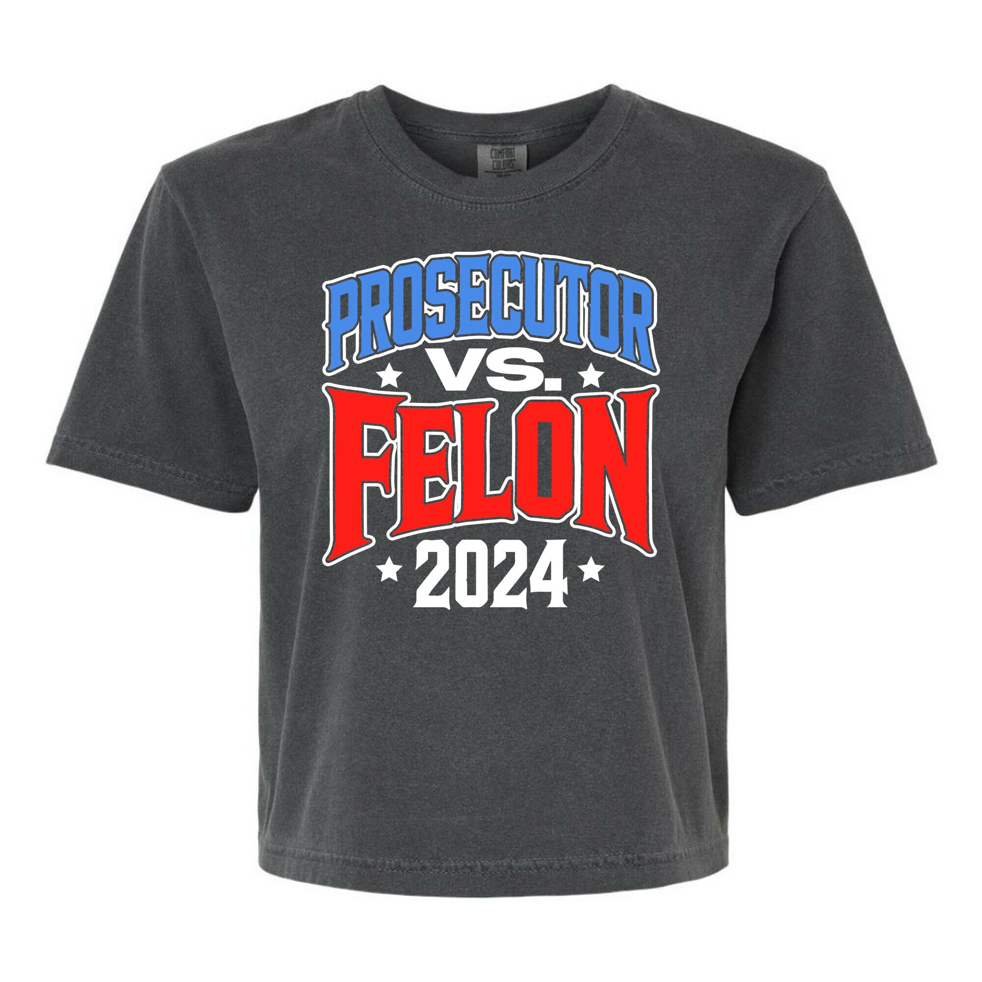 Prosecutor VS. Felon 2024 Womens Cotton Boxy Tee