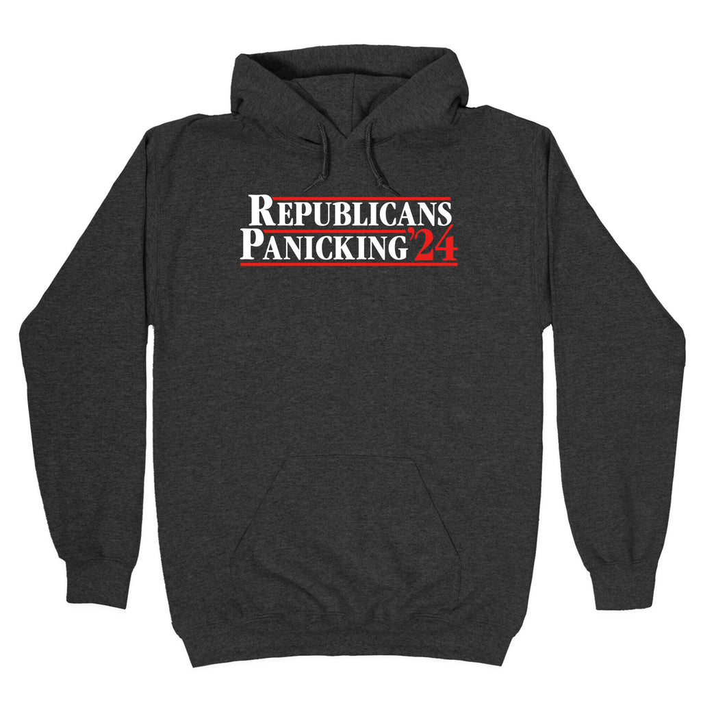 Republicans Panicking 2024 Hoodie