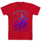 Didnt Burn Witches They Burned Women  T-Shirt